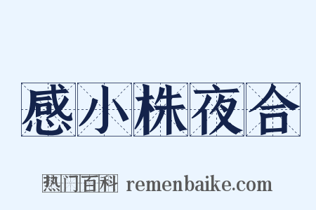 感小株夜合是什么意思的图片